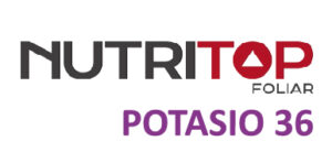 Nutritop Potasio - 36